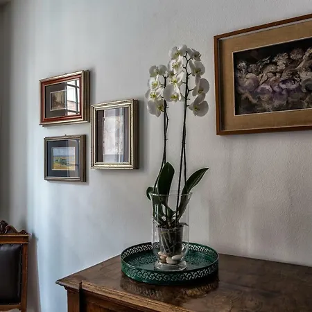 Placidus Apartment *